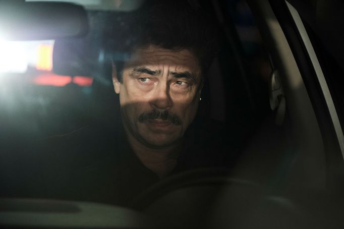 Benicio del Toro jako Tom Nichols.