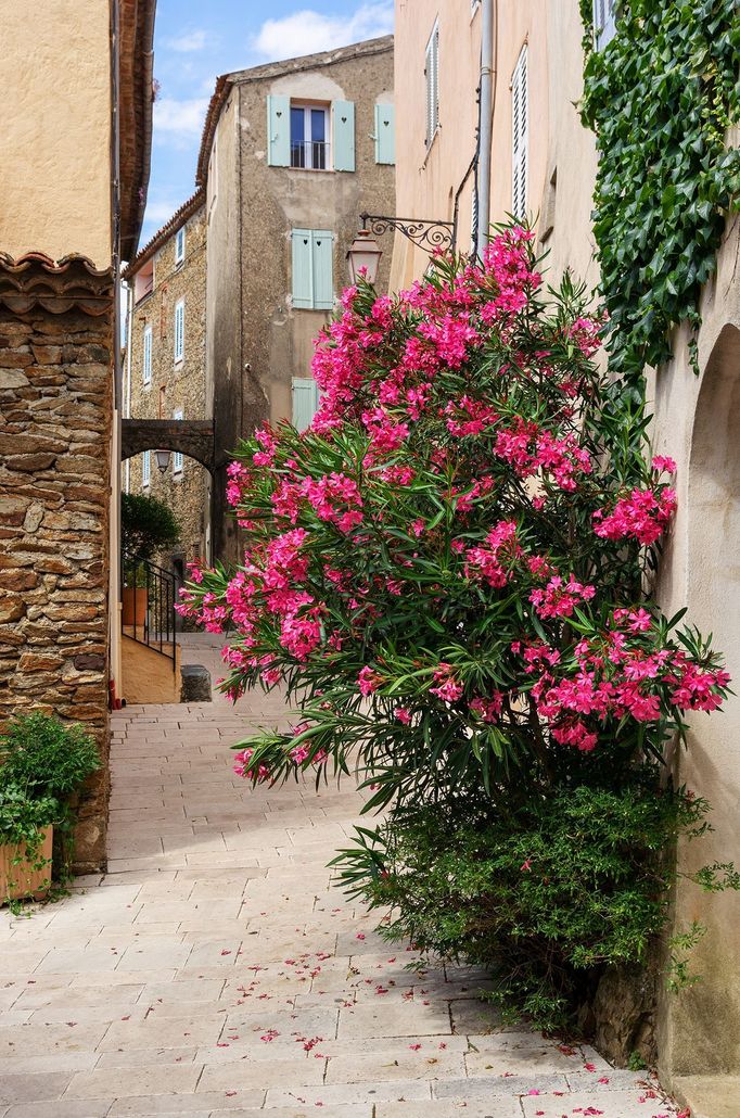 Tomáš Vocelka: Legendy z Provence (Saint-Tropez, Ramatuelle, Grimaud, Le Thoronet, rok 2013)