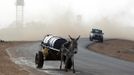 A donkey runs along a road during an air strike by the Sudanese air force in Rubkona near Bentiu