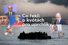 Grafika: Nutnost, nebo nesmysl? Co řekli politici o kvótách