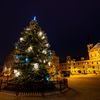 Vánoční Strom Jihlava 2019