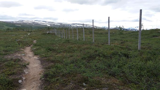 Dlouhý hraniční plot najdeme překvapivě také mezi Finskem a Norskem. Slouží k regulování migrace sobů mezi oběma zeměmi.