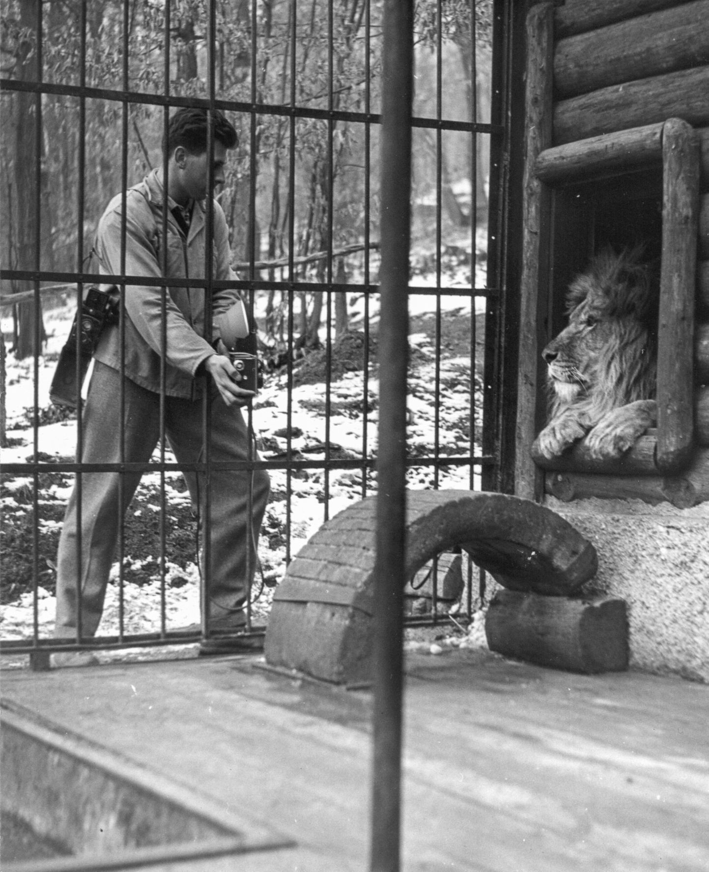 Zoo Brno, Brněnská zoo, zoo, zoologická zahrada, historie, výročí, Domácí