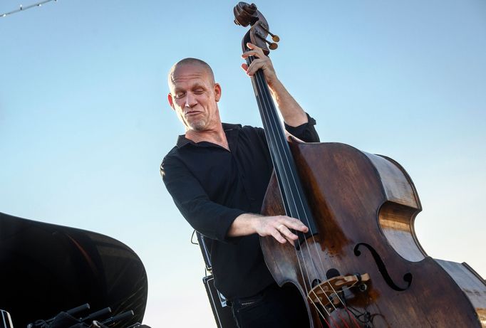 Avishai Cohen.