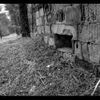 Borne - bunkr
