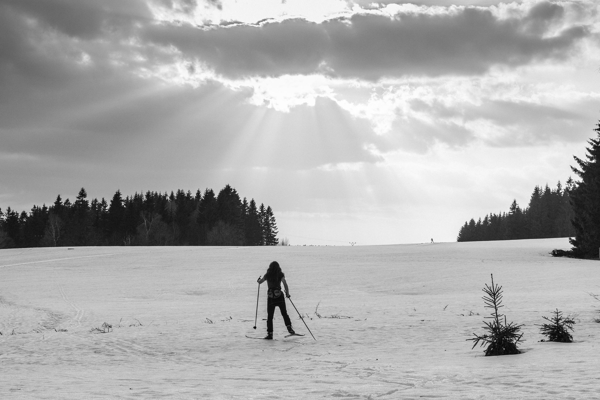 Aleš Palán, Samotáři 2