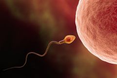 Spermie se chrání jedovatým plynem, zjistili čeští vědci. Objev může řešit neplodnost