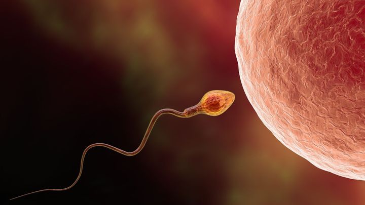 Znečištěné ovzduší poškozuje DNA ve spermiích, potvrdil výzkum českých vědců