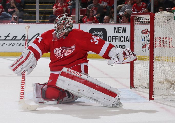 Petr Mrázek (Detroit Red Wings)