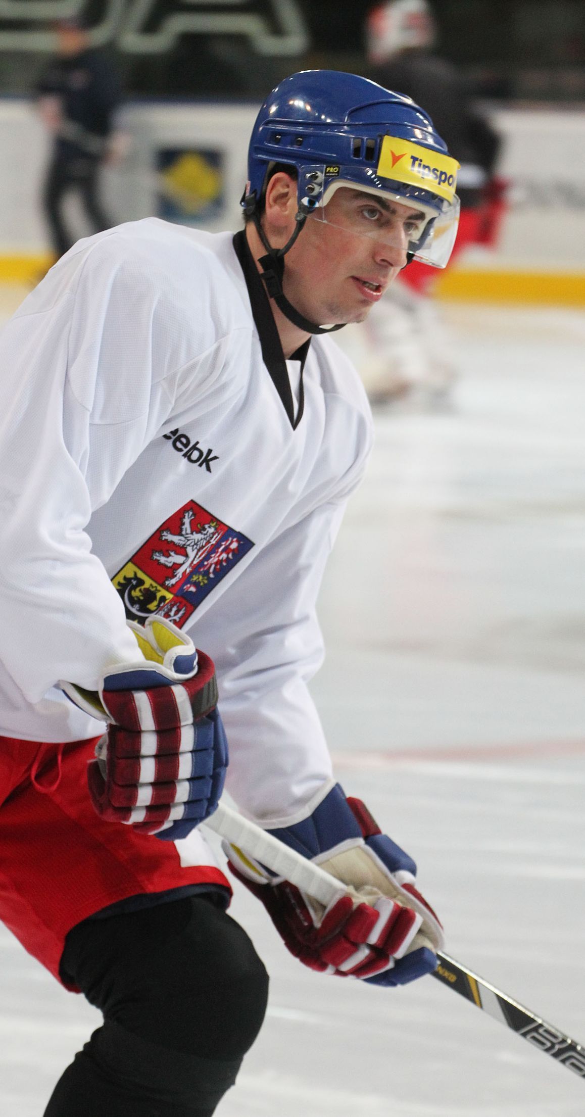 Česká hokejová reprezentace (Karjala Cup 2013) - Tomáš Kaberle
