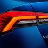 Škoda Rapid Rusko a Čína