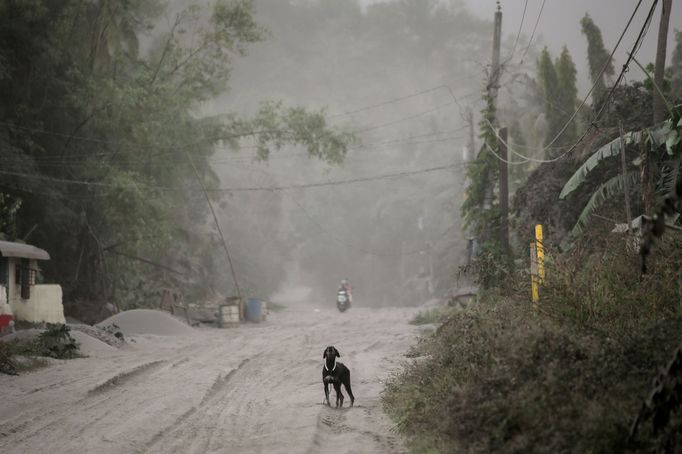 Filipínská sopka Taal začala chrlit popel a dým, hrozí její erupce.