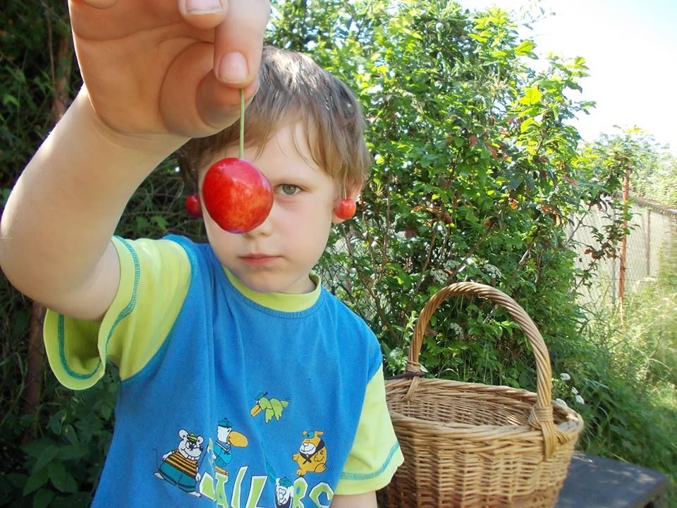 Čtenářský snímek - fotosoutěž "Moje léto" 2015