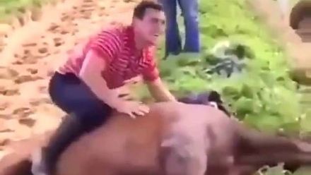 Žokej se chlubil "jízdou" na mrtvém koni. Byla to stupidita, kál se. Rok si odpočine