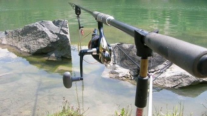 Na rybách není vždy takový klid, jak by se mohlo zdát