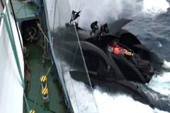 Loď organizace Sea Shepherd potopili sami aktivisté