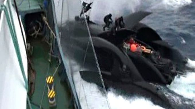 Incident v Antarktickém oceánu: japonská velrybářská loď naráží do katamaránu organizace Sea Shepherd
