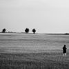 Week of Life - Jan Vrba - 11. 6. 12 - 7
