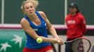 Siniaková vs. Buzarnescuová, Fed Cup, Česko vs. Rumunsko