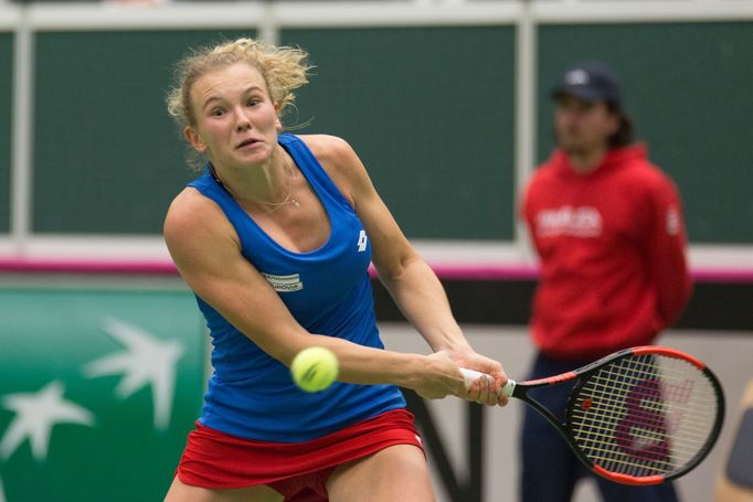 Siniaková vs. Buzarnescuová, Fed Cup, Česko vs. Rumunsko