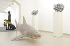 Žena ve vaně, plastika žraloka. Galerie vystavuje sochy Gabriela, Davida a Dostála