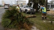 Bouře v minulých dnech bičovala jihovýchod Spojených států. Škody hlásí především Florida, Georgie a Severní Karolína.