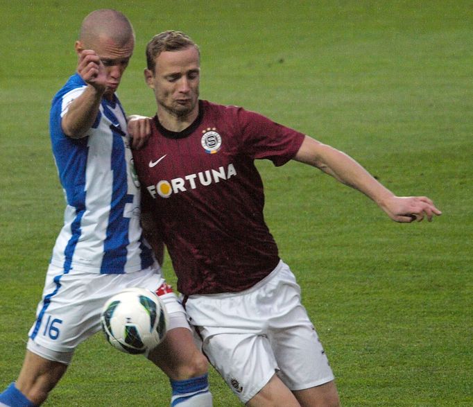 Fotbal, Gambrinus liga, Sparta - Mladá Boleslav: Jiří Jarošík - Martin Nešpor