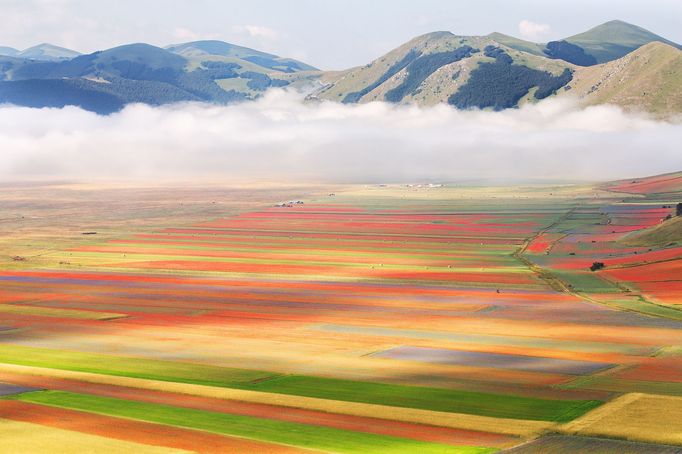 Rozkvetlé louky v okolí Castelluccia di Norcia, Itálie