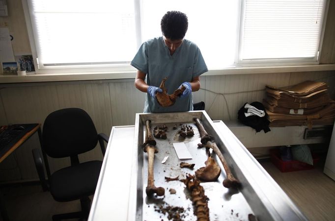 Senior Forensic Anthropologist Dragana Vucetic of the International Commission on Missing Persons (ICMP) works on trying to identify the remains of a victim of the Srebrenica massacre, at the ICMP centre near Tuzla July 9, 2012. Some 520 recently discovered Bosnian Muslim victims' remains from the Srebrenica massacre will be buried on July 11 at the Memorial center in Potocari. REUTERS/Dado Ruvic (BOSNIA AND HERZEGOVINA - Tags: CIVIL UNREST DISASTER) Published: Čec. 9, 2012, 2:40 odp.