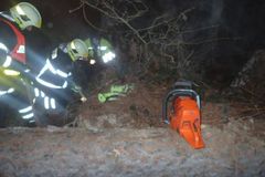 Muže na Opavsku zavalil strom, zůstal pod ním zaklíněný více než 5 hodin