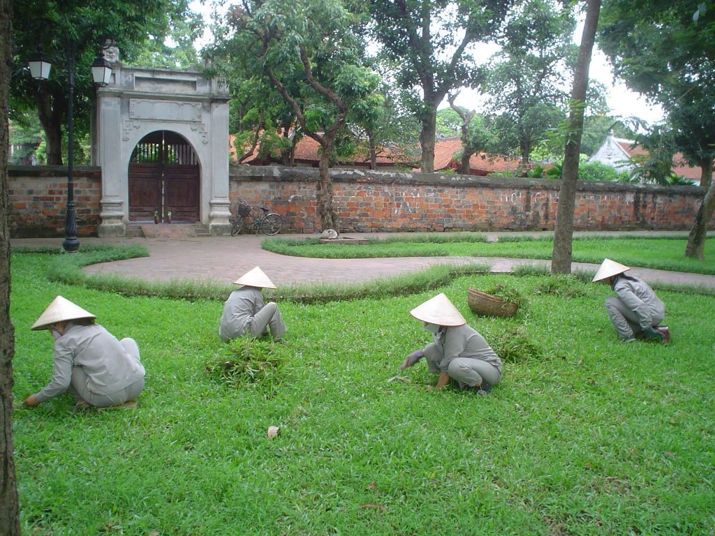 Vietnam_zahradníci