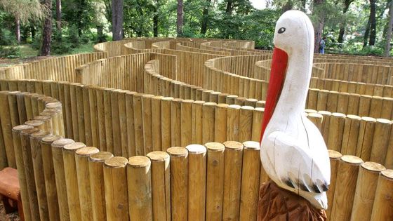 Zabloudit v parku? V Loučni můžete desetkrát jinak