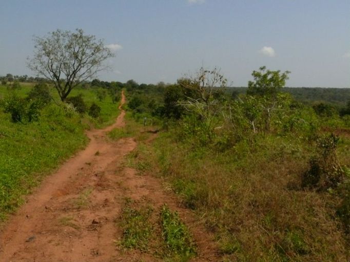 Ve Středoafrické republice je jen několik set kilometrů asfaltových silnic. Tato cesta vede do jedné z venkovských oblastí