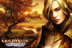 Guild Wars 2 odloženy