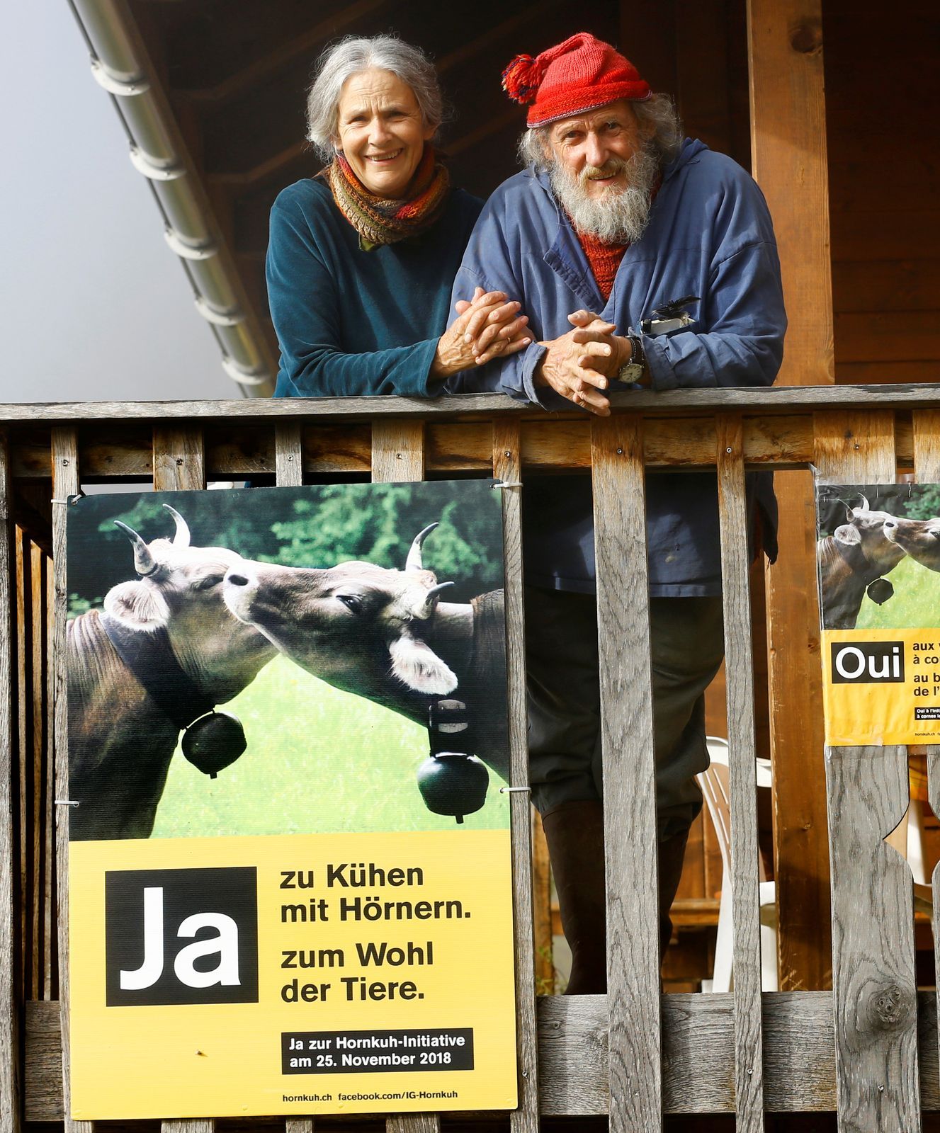 Švýcarské referendum o kravách