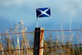 Skotský národ se rozdělil na dva tábory.