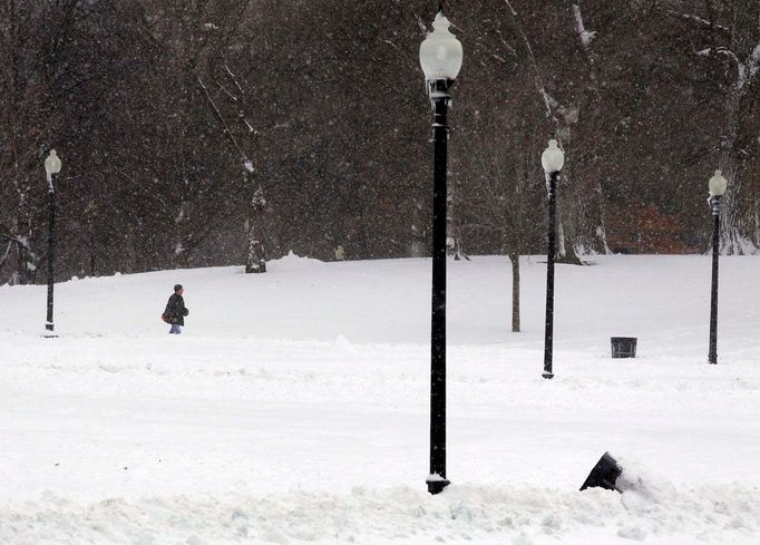 Městský park v Bostonu.