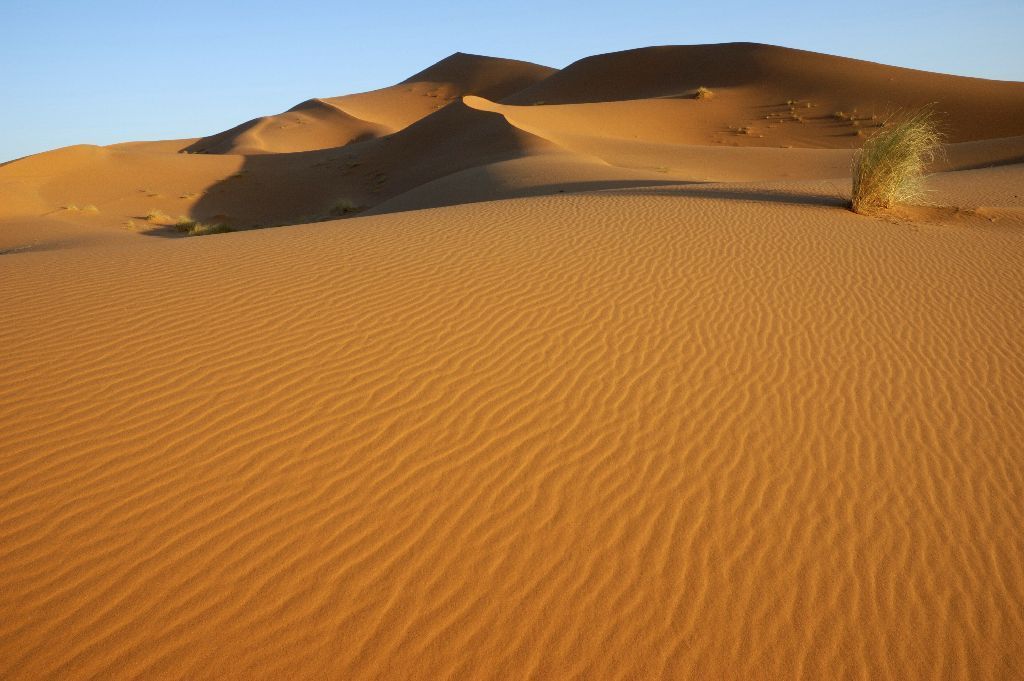 Poušť Sahara