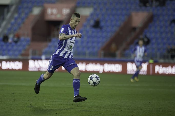 Baník Ostrava - Mladá Boleslav, Jiří Fleišman