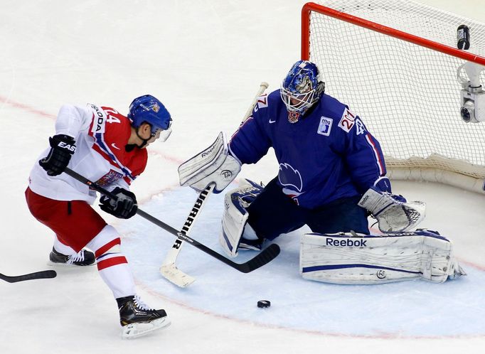 Jiri Hudler of the Czech Republic (L) challenges France's goalie Florian Hardy (R) during the third period of their men's ice hockey World Championship Group A game at Ch