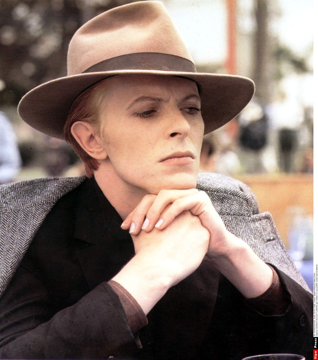 David Bowie