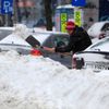 Sníh je všude: Na pláži, na růžích, zasypal i Einsteina