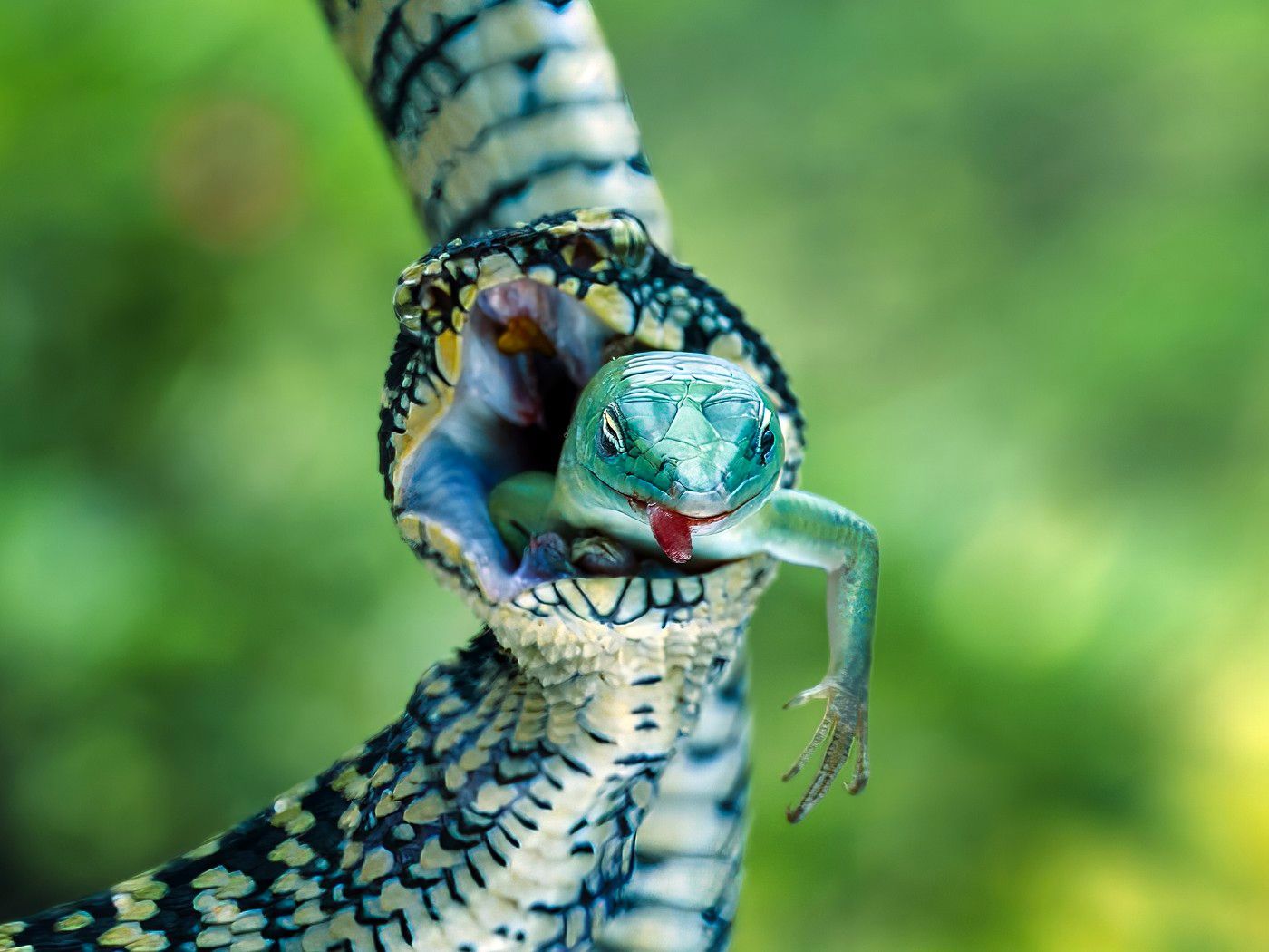 s foťákem kolem světa