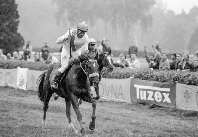 Josef Váňa na Železníkovi vítězí ve 101. ročníku Velké pardubické 13. října 1991, přestože kůň spadl na překážce a musel dohánět velkou ztrátu.