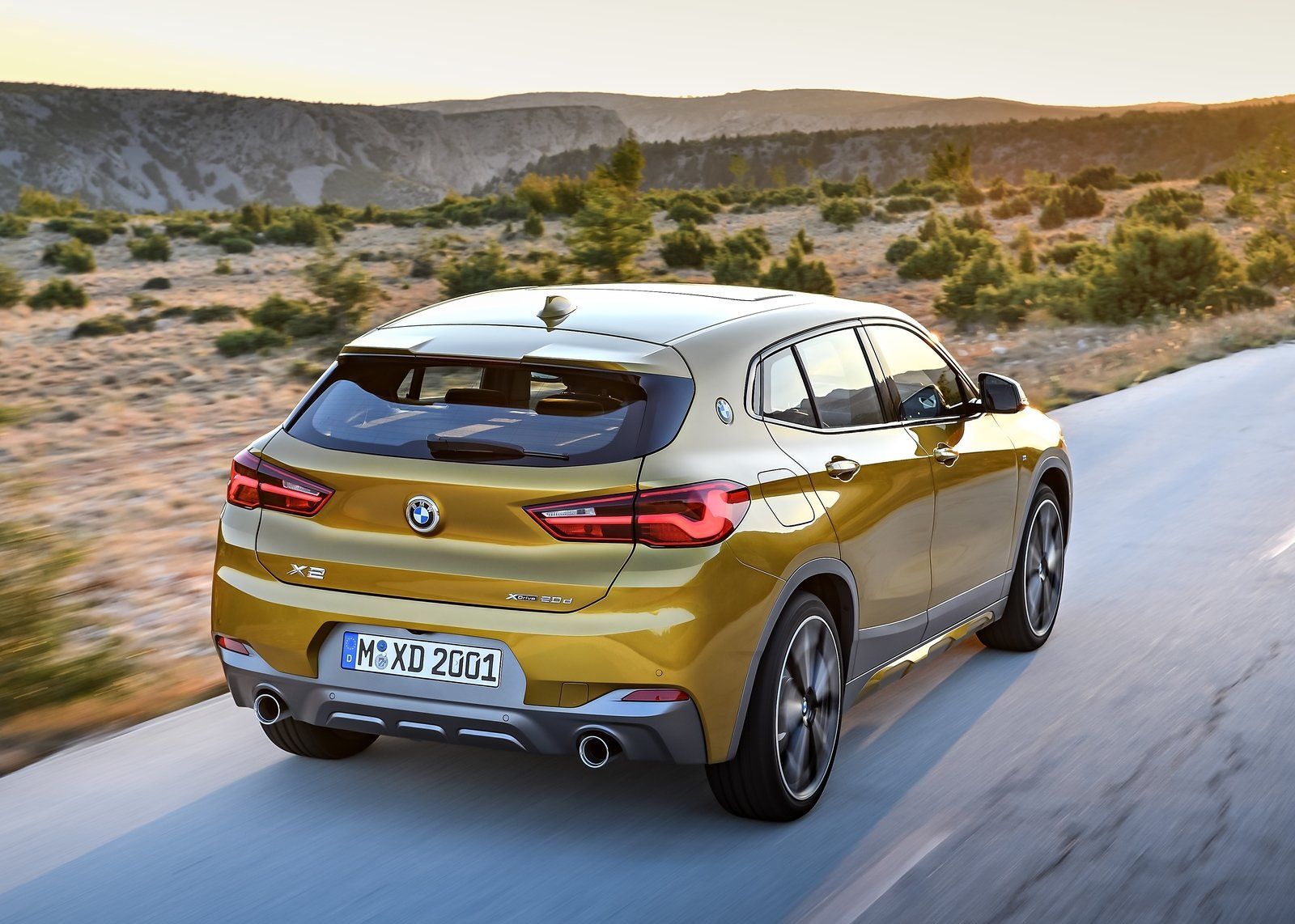 BMW X2