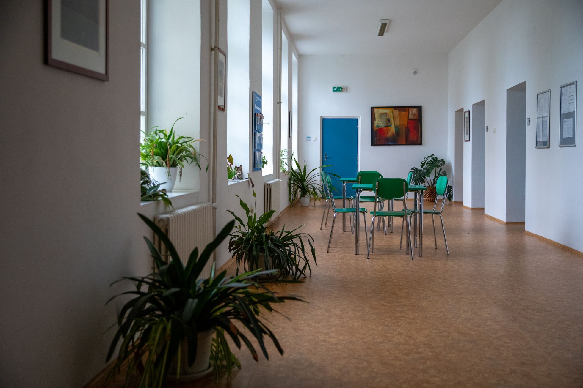 Dětská psychiatrická nemocnice Opařany