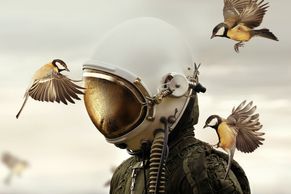 Martin Stranka fotí, jako by točil hollywoodský film. Teď se vrací s velkou výstavou