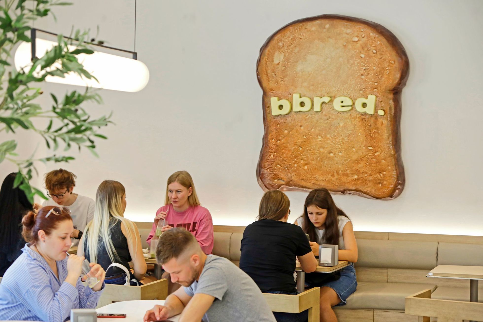 Bbred, bistro, žižkov, sendviče, Korea