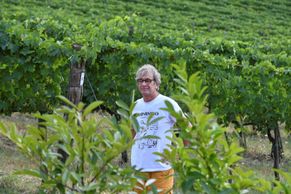 Foto: Toskánští vinaři a pěstitelé oliv si zoufají. Úrodu ničí rekordní sucho a vedro