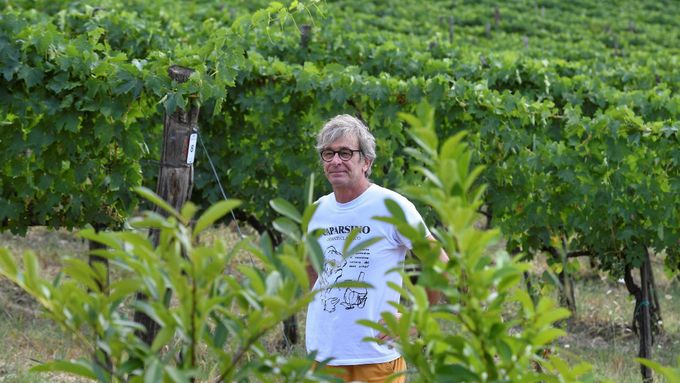 Foto: Toskánští vinaři a pěstitelé oliv si zoufají. Úrodu ničí rekordní sucho a vedro
